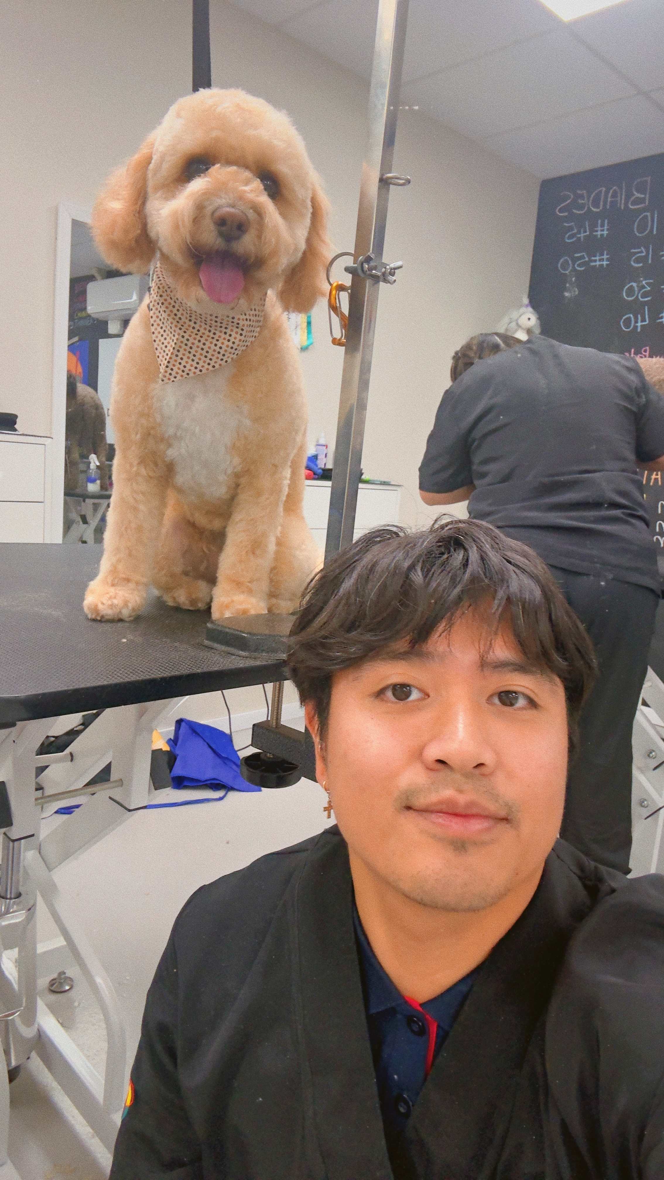 Angelito with a freshly groomed golden poodle on the grooming table